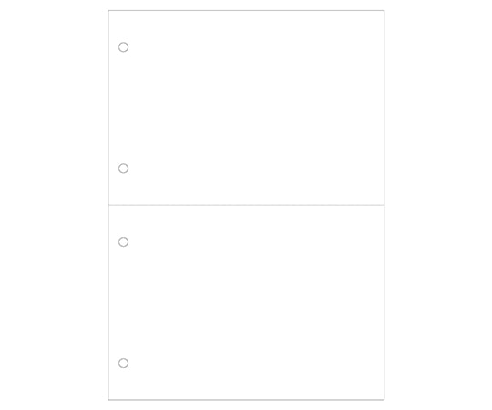 ヒサゴ マルチプリンタ帳票 B5 白紙 2面 4穴 1セット(1200枚入) BP2053Z 1セット(ご注文単位1セット)【直送品】