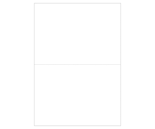 ヒサゴ マルチプリンタ帳票 A5 白紙 2面 1セット(1200枚入) BP2054Z 1セット(ご注文単位1セット)【直送品】