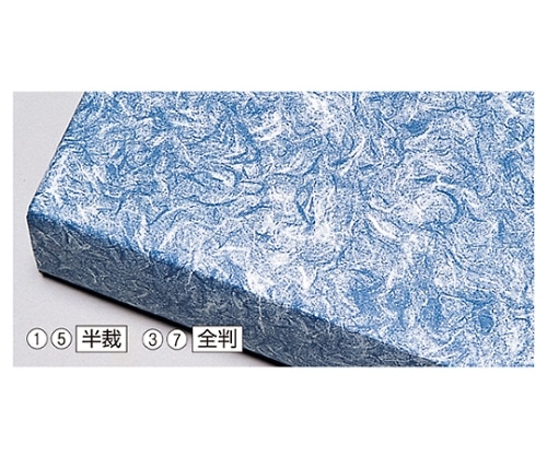 ストア・エキスプレス 雲竜 全判 青 入数500枚 61-549-57-16 1セット（ご注文単位1セット）【直送品】