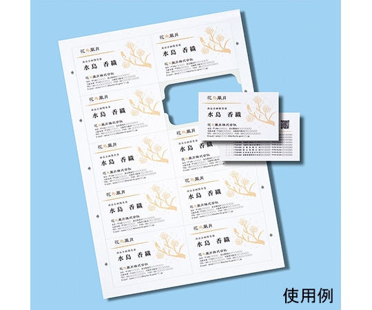 サンワサプライ マルチタイプまわりがきれいな名刺カード 標準 A4 10面 20シート200カード入り JP-MCCM01 1セット(ご注文単位1セット)【直送品】