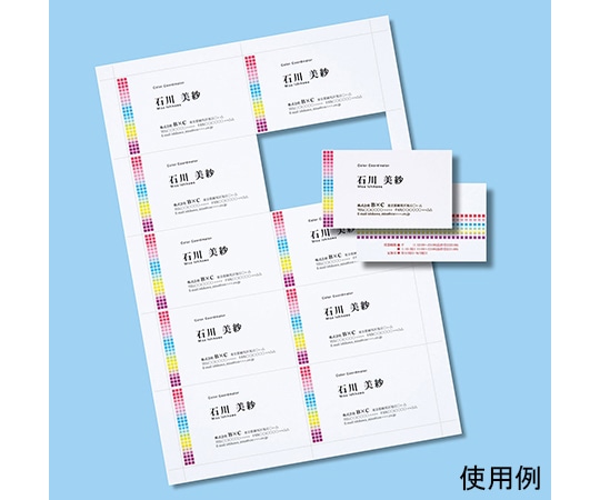 サンワサプライ マルチタイプ名刺カード 標準 A4 10面 20シート200カード入り JP-MCM06 1セット(ご注文単位1セット)【直送品】