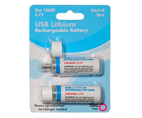 FOREVER USB リチウムイオンバッテリー 1パック(2個入) USBLI2 1パック(ご注文単位1パック)【直送品】