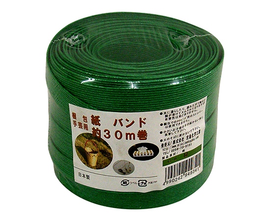 宮島化学工業 梱包・手芸用 紙バンド 緑 15.5mm×30m C9 1巻(ご注文単位1巻)【直送品】
