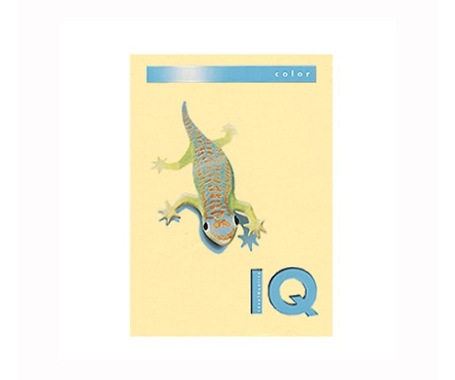 伊東屋 バイオトップカラー クリーム BT501 1パック(ご注文単位1パック)【直送品】