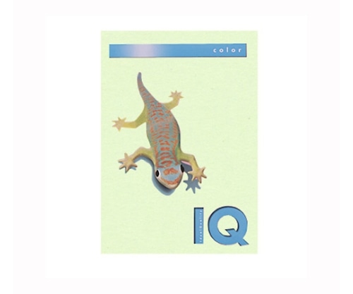 伊東屋 バイオトップカラー グリーン BT505 1パック(ご注文単位1パック)【直送品】