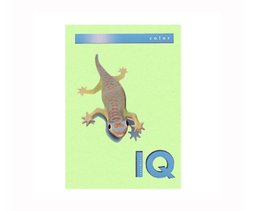 伊東屋 バイオトップカラー ミディアムグリーン BT506 1パック(ご注文単位1パック)【直送品】