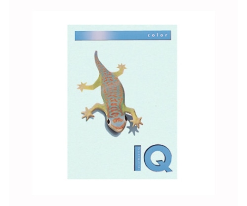 伊東屋 バイオトップカラー ブルー BT507 1パック(ご注文単位1パック)【直送品】