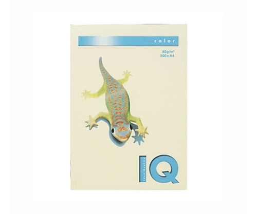 伊東屋 バイオトップカラー バニラ BT530 1パック(ご注文単位1パック)【直送品】