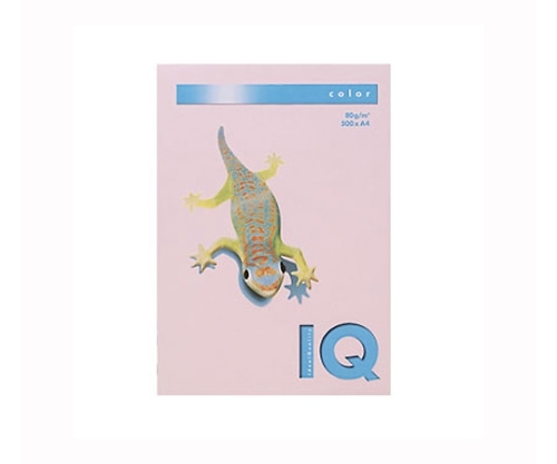 伊東屋 バイオトップカラー フラミンゴ BT531 1パック(ご注文単位1パック)【直送品】