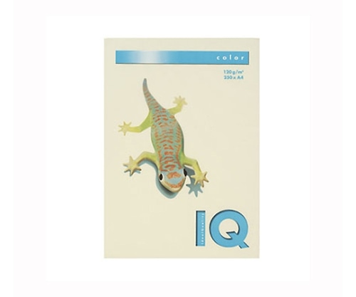 伊東屋 バイオトップカラー バニラ BT730 1パック(ご注文単位1パック)【直送品】