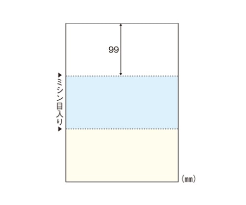 ヒサゴ マルチプリンタ帳票 A4判3面カラー FSC2079 1冊(ご注文単位1冊)【直送品】