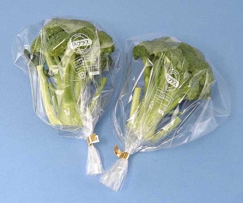 住友ベークライト P-プラス規格袋 (ヒートシール用) ホウレンソウ 1ケース(4000枚入) HY8K7 1ケース(ご注文単位1ケース)【直送品】