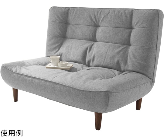 セルタン ハイバックソファ LULU-2p タスクグレー 二人掛け A40p-587GRY 1個(ご注文単位1個)【直送品】