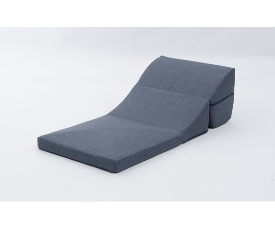 セルタン テレビ枕 デニム調インディゴブルー A573a-S-612BL 1個（ご注文単位1個）【直送品】