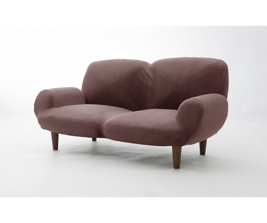 セルタン カウチソファ SUICA テクノブラウン 二人掛け A616p-266BR 1個(ご注文単位1個)【直送品】