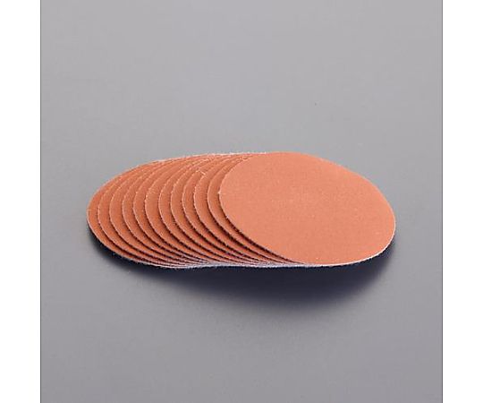 アズワン [EA809PX-41用] ディスク研磨ペーパー(#1000) EA809PX-49 1セット(ご注文単位1セット)【直送品】