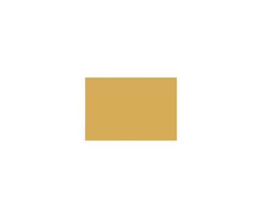 エリエール(大王製紙) 再生色画用紙 8ツ切 10枚 くちばいろ B-47 1冊(ご注文単位1冊)【直送品】