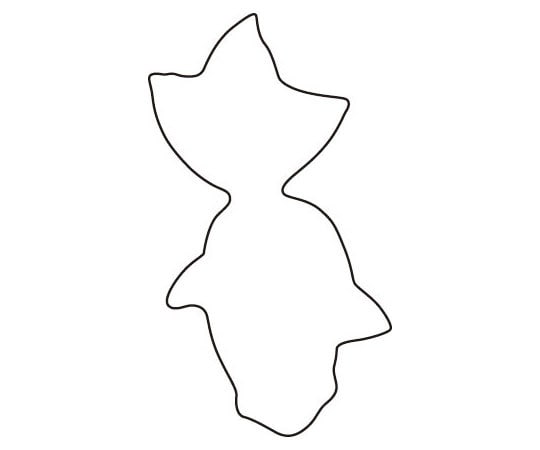 アズワン 生抜 金魚 #3  1個（ご注文単位1個）【直送品】