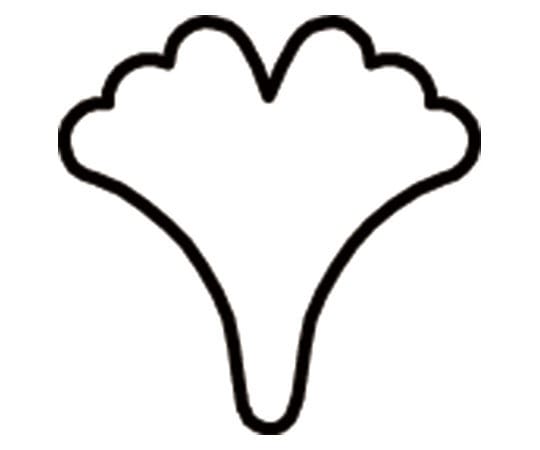 アズワン 生抜 極小 銀杏  1個（ご注文単位1個）【直送品】