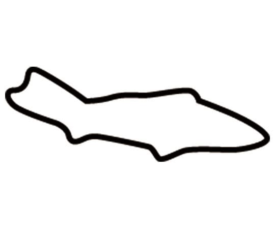 アズワン 生抜 極小 鮎(新型)  1個（ご注文単位1個）【直送品】