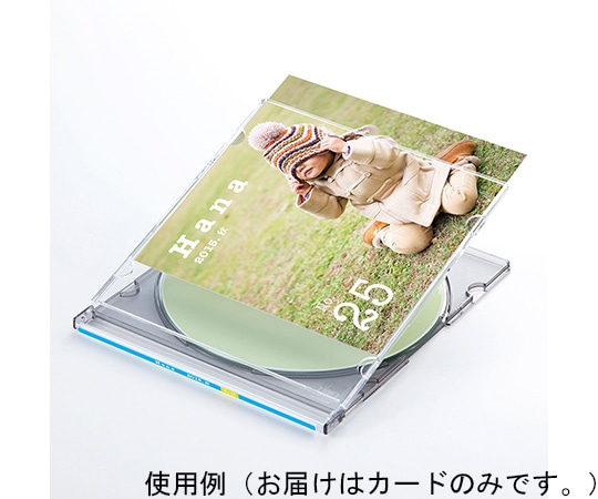 サンワサプライ インクジェットフォト光沢スリムケースカード JP-INDGK4N 1セット(ご注文単位1セット)【直送品】