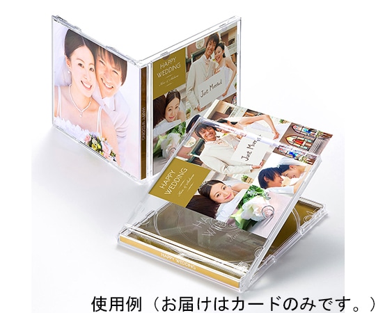 サンワサプライ インクジェットフォト光沢インデックスカード JP-INDGKN 1セット(ご注文単位1セット)【直送品】