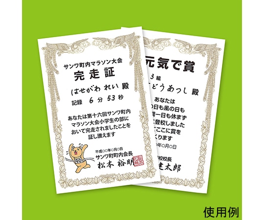 サンワサプライ インクジェット手作り賞状用紙 はがき 縦 JP-SHHKTN 1セット(ご注文単位1セット)【直送品】