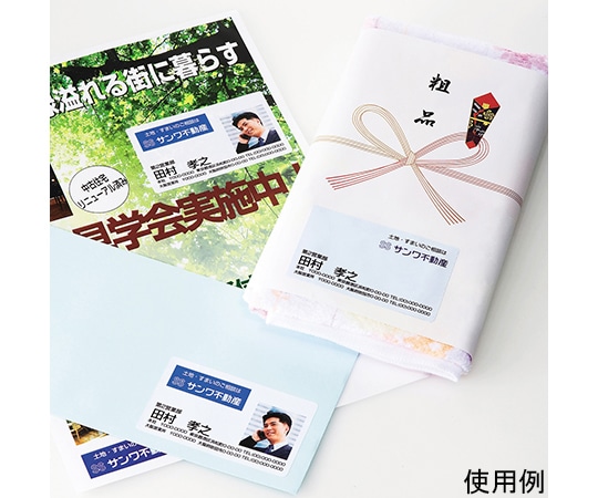 サンワサプライ マルチラベル 名刺サイズ LB-EM09N 1セット(ご注文単位1セット)【直送品】