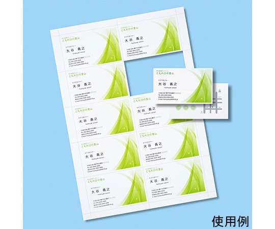 サンワサプライ インクジェット名刺カード 超特厚 JP-MC12N 1セット(ご注文単位1セット)【直送品】