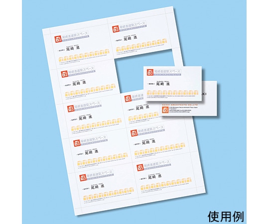 サンワサプライ マルチタイプ名刺カード 特厚 JP-MCM08N 1セット(ご注文単位1セット)【直送品】