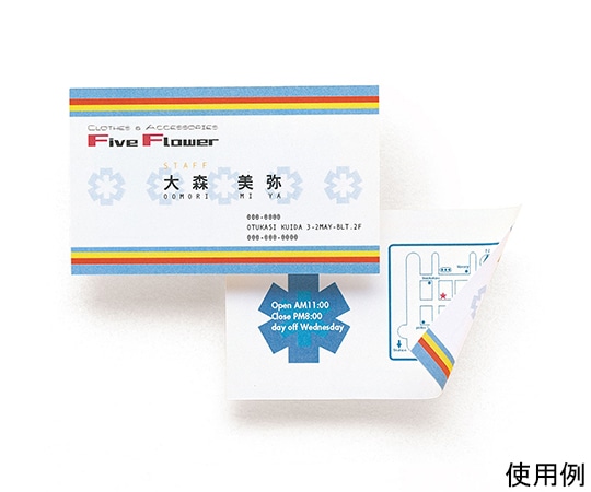 サンワサプライ マルチ名刺カード 白 JP-MCMT01N 1セット(ご注文単位1セット)【直送品】