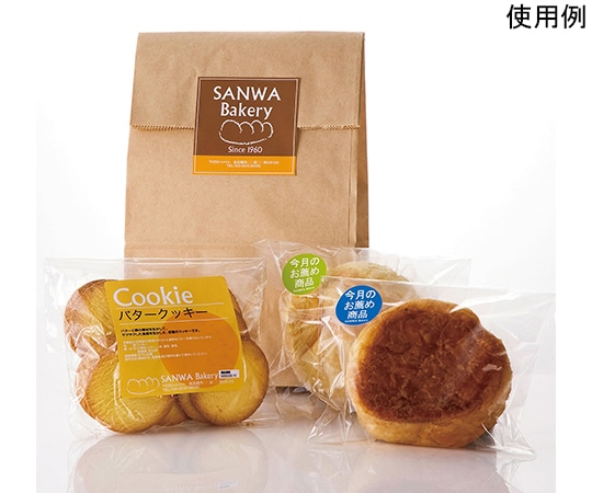 サンワサプライ インクジェットつやなしマットラベル LB-EJM01N 1セット(ご注文単位1セット)【直送品】