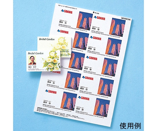 サンワサプライ カラーレーザー用フォト光沢名刺 LBP-MMC10KN 1セット(ご注文単位1セット)【直送品】