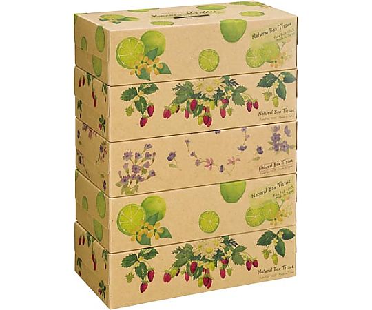 カミ商事 エルモア ナチュラル 180組(5箱入) 422311 1パック（ご注文単位1パック）【直送品】