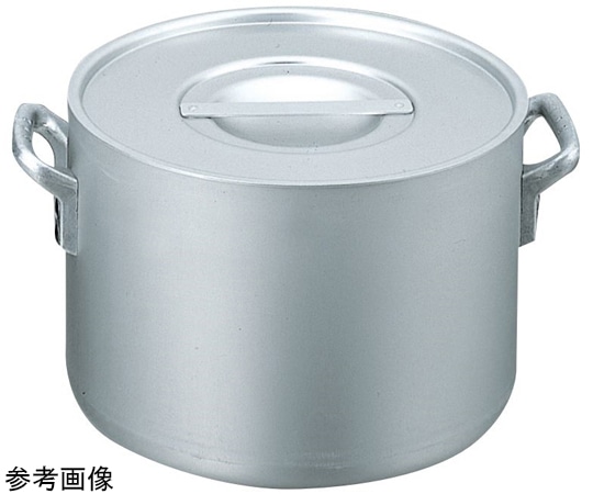 イケダ エレテック 電磁用半寸胴鍋 21cm  1個（ご注文単位1個）【直送品】