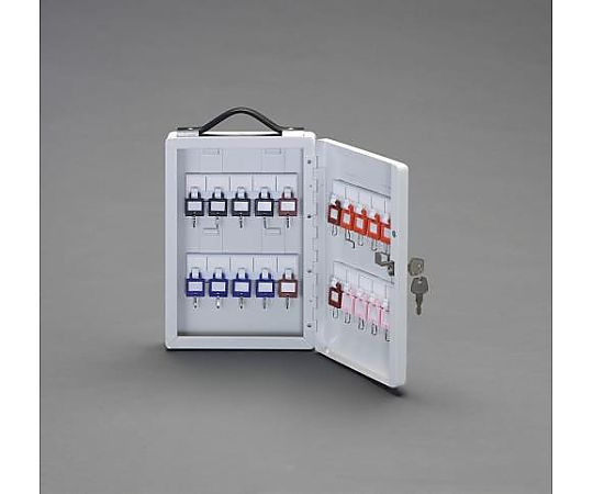 エスコ 195x 60x282mm キーボックス(20本用) EA956VH-20 1台(ご注文単位1台)【直送品】