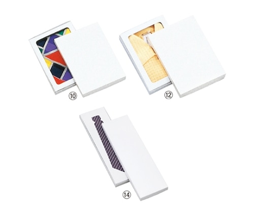 ストア・エキスプレス ギフトケース 白 22×30×3.2 1セット(10枚入) 61-781-88-11 1セット（ご注文単位1セット）【直送品】