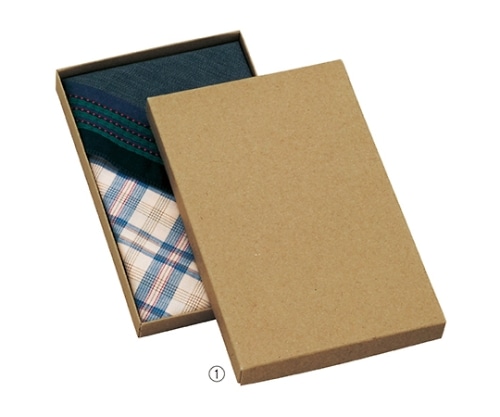 ストア・エキスプレス ギフトケース ナチュラル 14×21.3×2.1 1セット(20枚入) 61-287-12-1 1セット（ご注文単位1セット）【直送品】