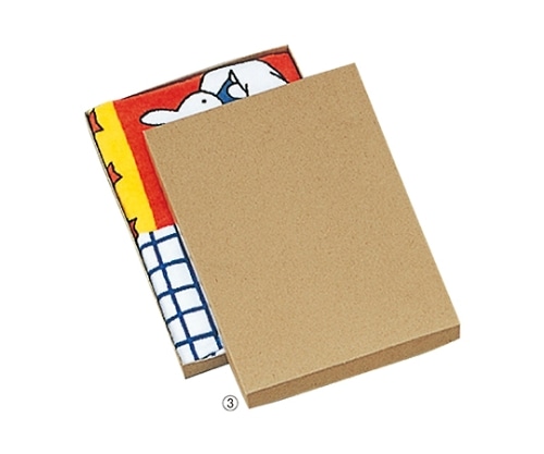 ストア・エキスプレス ギフトケース ナチュラル 20×27×2.5 1セット(10枚入) 61-287-12-3 1セット（ご注文単位1セット）【直送品】