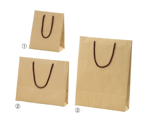 ストア・エキスプレス カラー手提げ紙袋 クラフト 33×10×45 入数100枚 61-785-20-7 1セット（ご注文単位1セット）【直送品】