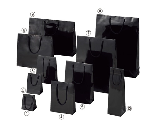 ストア・エキスプレス ブライトバッグ ブラック 45×12×33 入数150枚 61-314-2-24 1セット（ご注文単位1セット）【直送品】