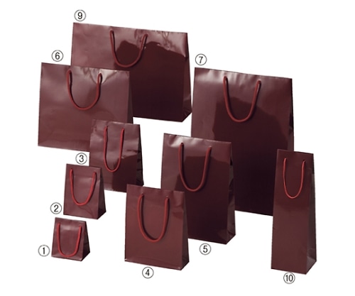 ストア・エキスプレス ブライトバッグ エンジ 22.5×8×32 入数50枚 61-314-3-20 1セット（ご注文単位1セット）【直送品】