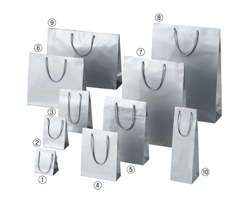 ストア・エキスプレス ブライトバッグ シルバー 33×10×30 入数150枚 61-661-54-21 1セット（ご注文単位1セット）【直送品】