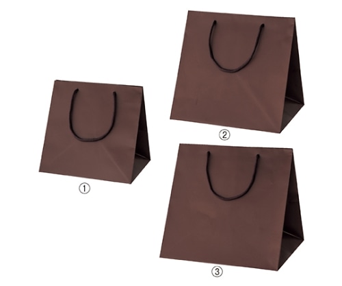 ストア・エキスプレス マット貼りブライトバッグ ブラウン 23×20×23 入数50枚 61-314-8-6 1セット（ご注文単位1セット）【直送品】