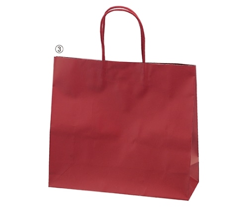 ストア・エキスプレス マットバッグ ワイン 22×12×22 入数10枚 61-314-12-1 1セット（ご注文単位1セット）【直送品】