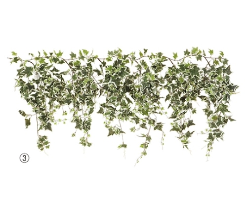 ストア・エキスプレス グリーンシダレガーランド オランダアイビー 61-174-2-3 1本（ご注文単位1本）【直送品】