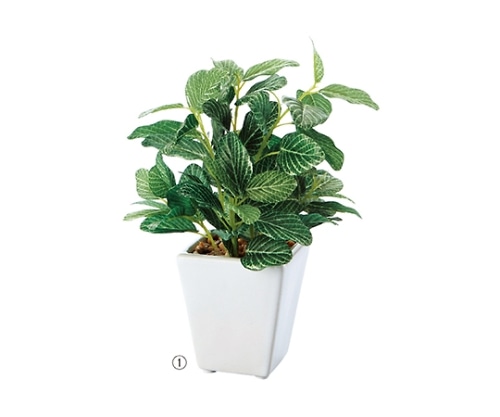 ストア・エキスプレス ミニグリーンポット(人工樹木) フィットニア 61-174-9-1 1個(ご注文単位1個)【直送品】