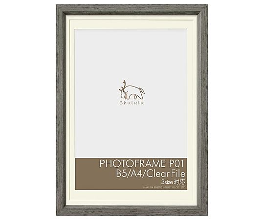 ハクバ写真産業 チュルル フォトフレームP01 B5/A4/クリアファイル グレー FCHL-P01LGY 1個(ご注文単位1個)【直送品】