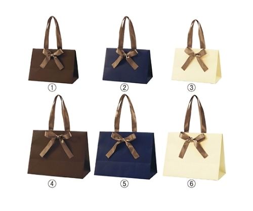 ストア・エキスプレス 手提げ紙袋 ノブレス M ブラウン 1セット(10枚入) 61-431-35-4 1セット（ご注文単位1セット）【直送品】