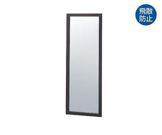 ストア・エキスプレス 木製ワイド立掛けミラー(鏡厚5mm) ダークブラウン 61-133-2-3 1台（ご注文単位1台）【直送品】